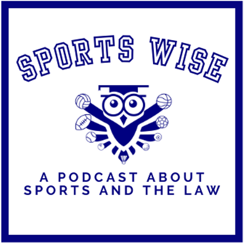 Sports Wise Logo