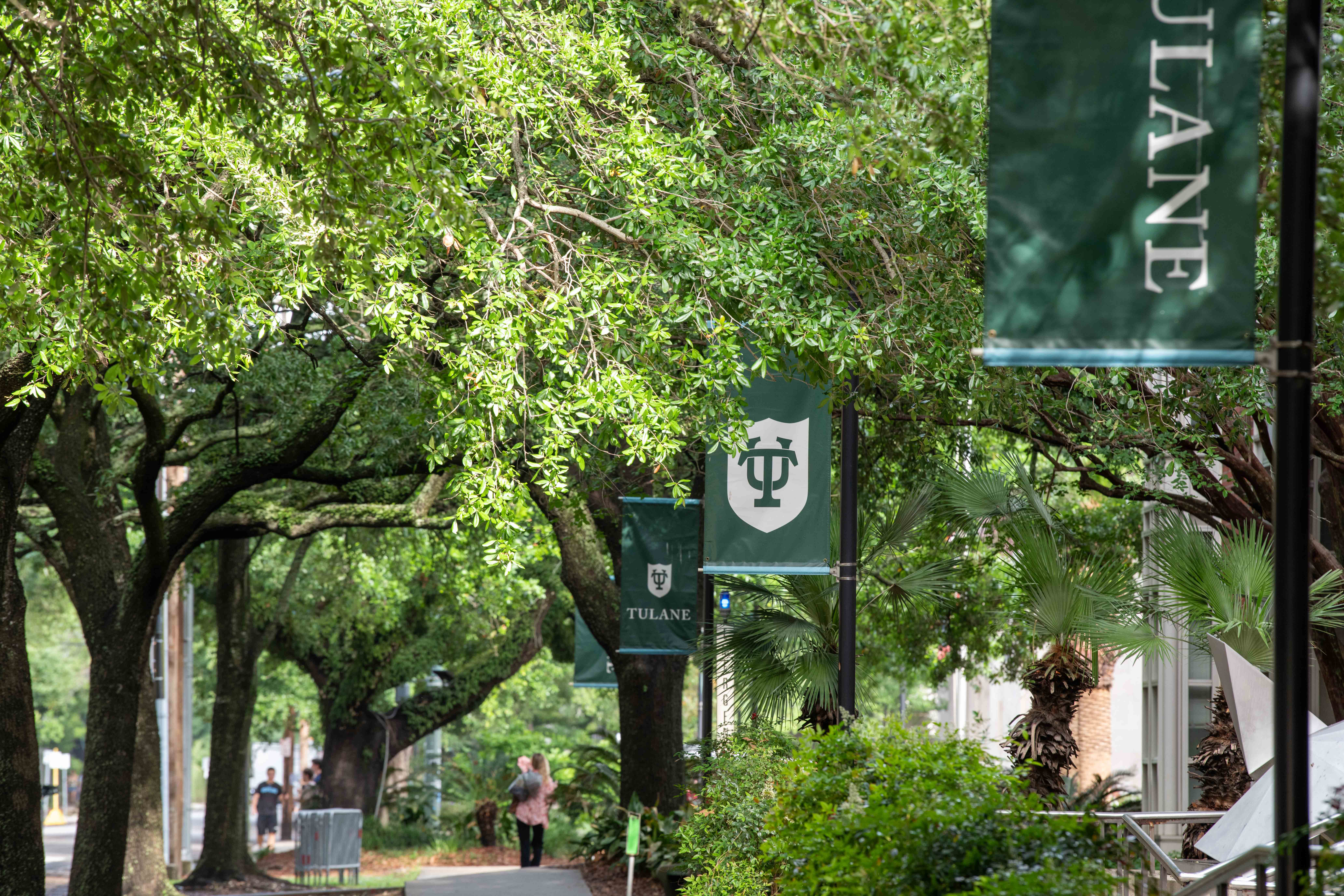 Tulane Journal of International and Comparative Law