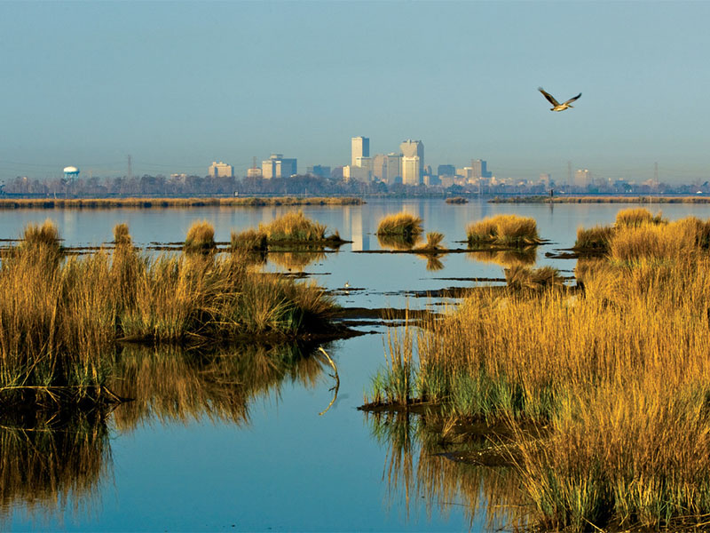 Marshlands
