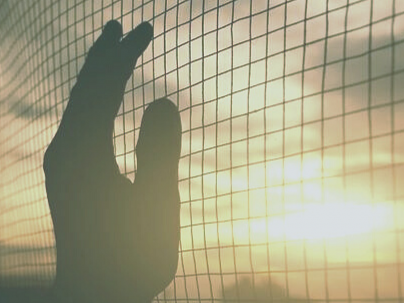 Hand on fence at sunset