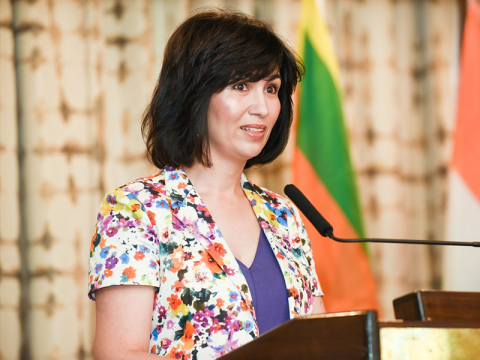 Speaker at ILDI Conference