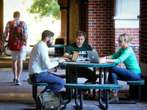 Students studying outside 