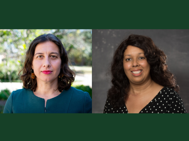 Tulane Law faculty honored for their scholarship and mentorship