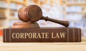 Prof. Lipton hosts Tulane Corporate and Securities Law Roundtable March 9