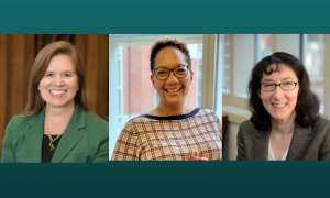 Professors Godshall, Jupiter and Lipton swept the 2023 Leaders In Law class honors in The New Orleans CityBusiness.