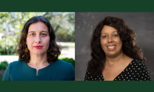 Tulane Law faculty honored for their scholarship and mentorship